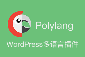 超好用的WordPress多语言插件polylang2.9.2下载