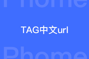 帝国cms中的tag标签怎样以中文url的形式展示