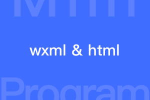 微信小程序和html标签比较