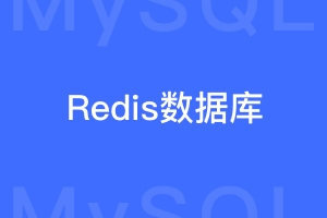 什么是Redis，Redis和MySQL有什么差异？