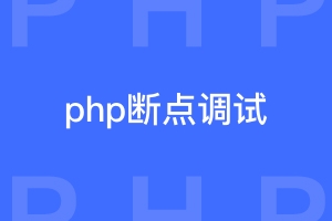 php怎样断点调试？