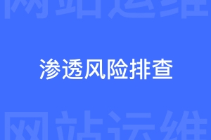 怎样使用渗透工具排查网站风险项