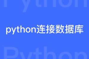 最简洁的python连接数据库demo