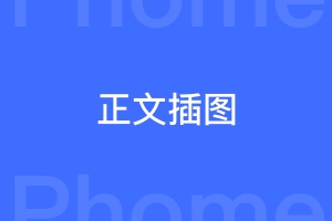 一段在正文中插入标题图的函数